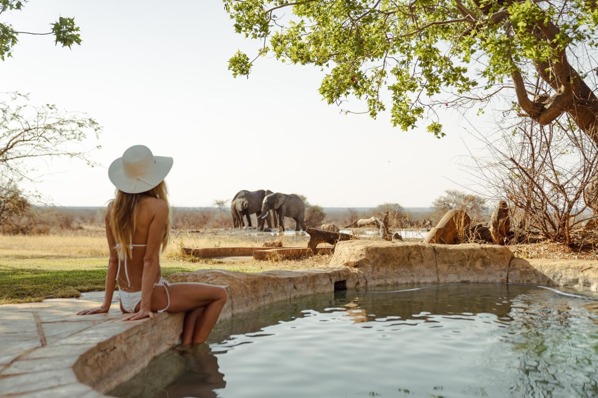 Last Word Madikwe Madikwe Game Reserve Exterior foto