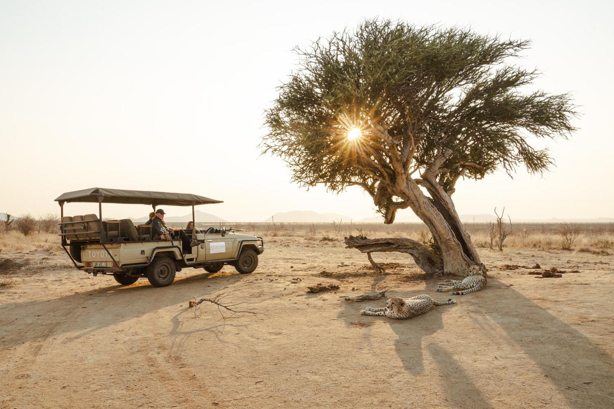 Last Word Madikwe Madikwe Game Reserve Exterior foto