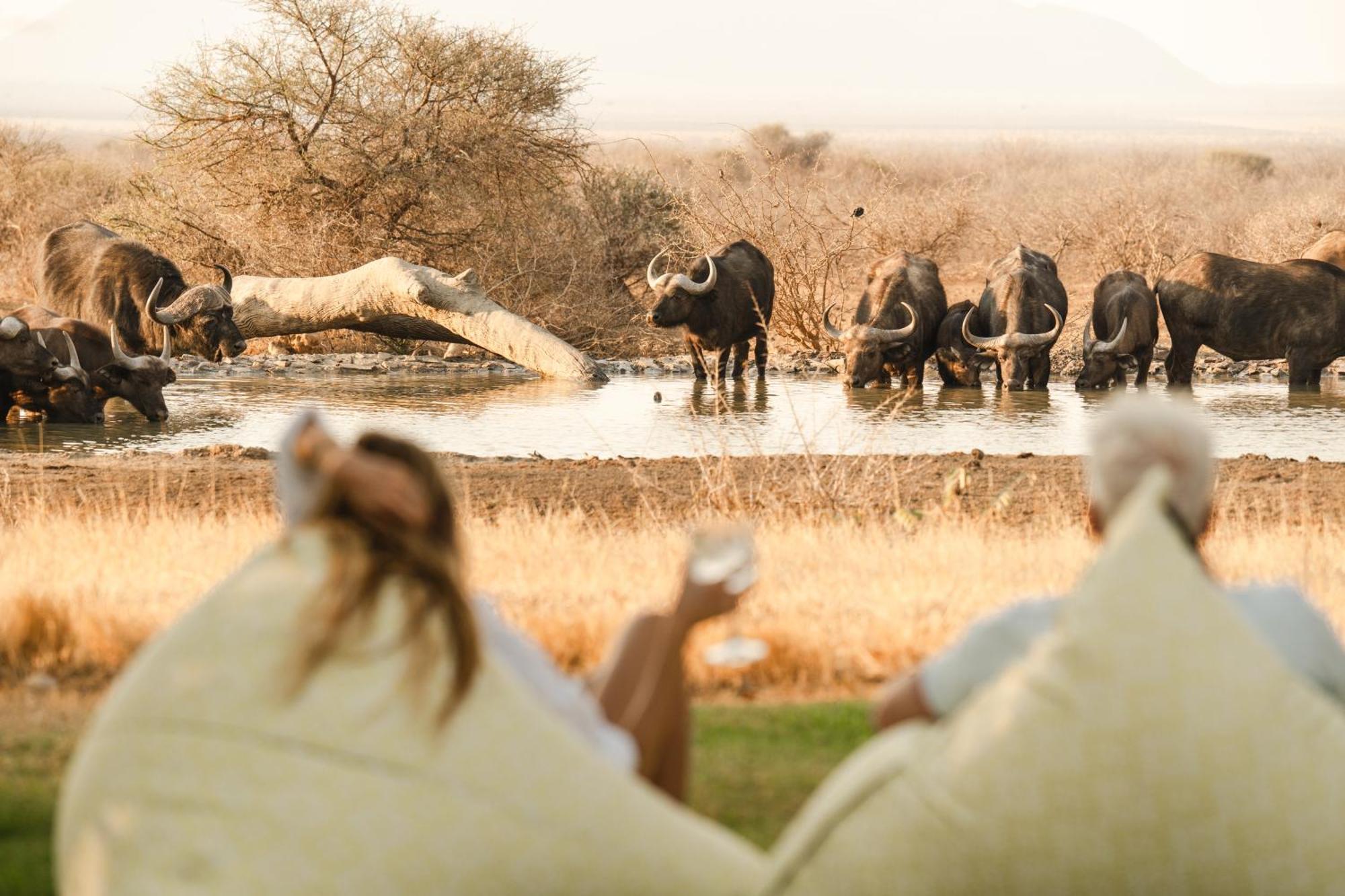 Last Word Madikwe Madikwe Game Reserve Exterior foto