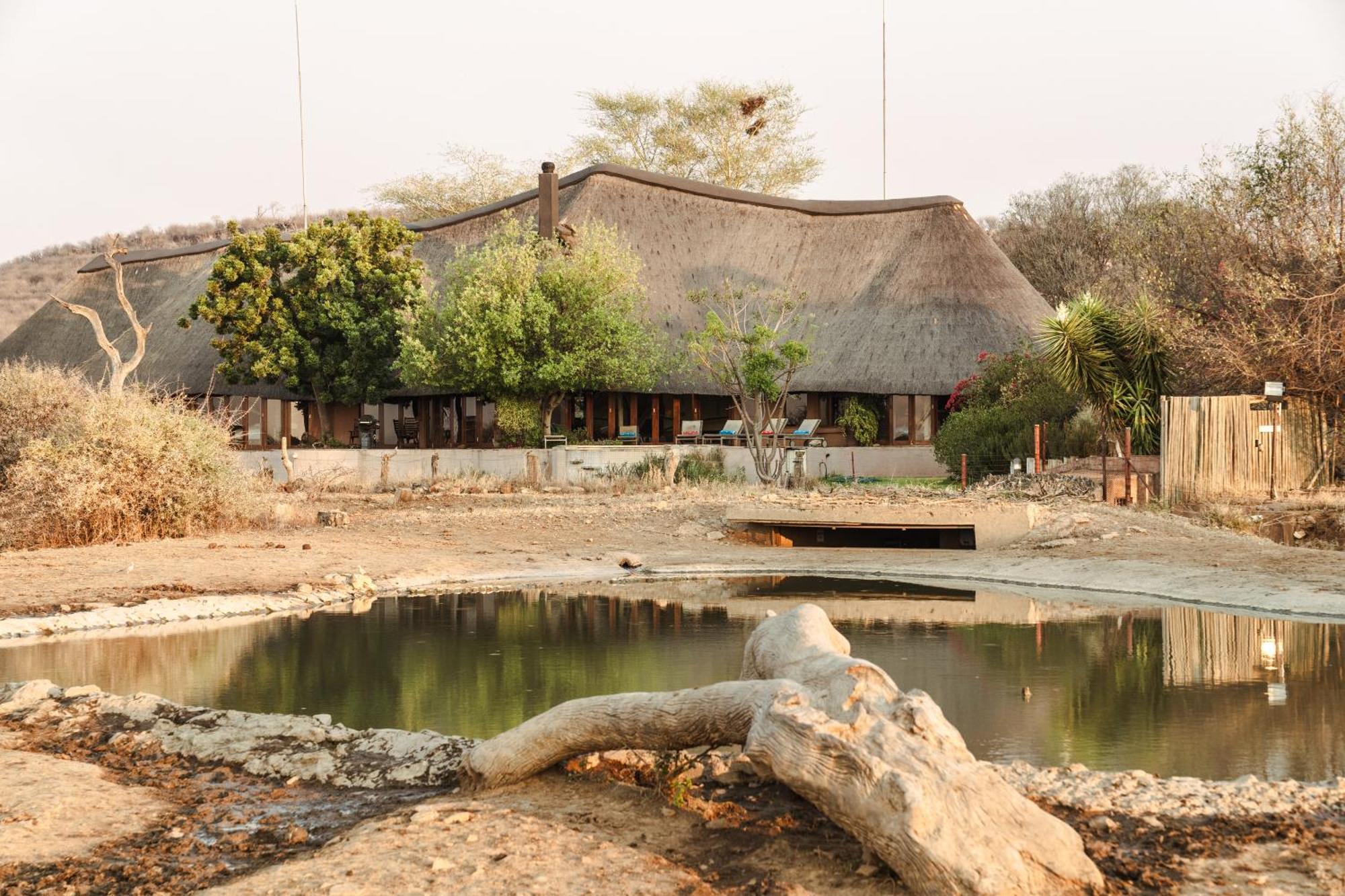 Last Word Madikwe Madikwe Game Reserve Exterior foto